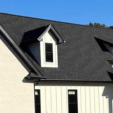 Roof Washing Services